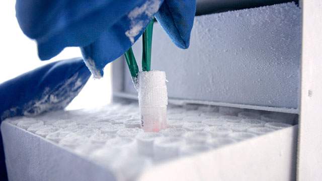 2016產(chǎn)品資源指南:冷藏